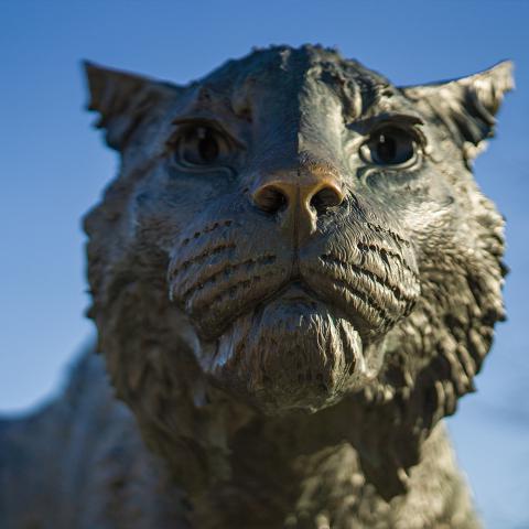 Close up of Wildcat Statue 