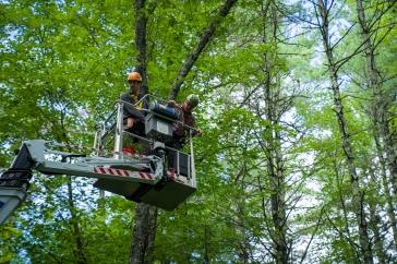 Two men wearing hardhats stand on a raised platform near the forest canopy. 